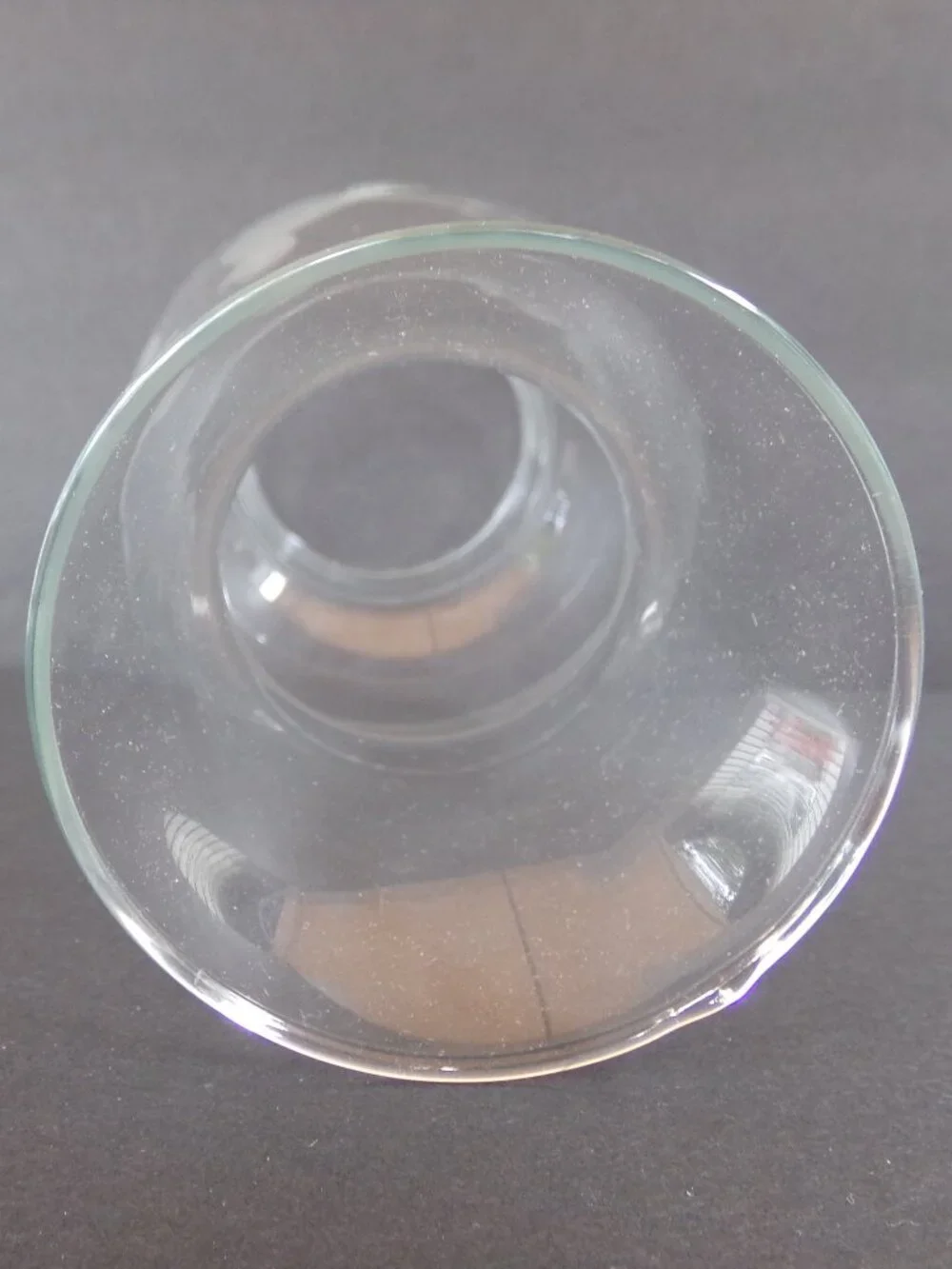 Hurricane Lamp Globe Oil Chimney Clear Etched Birds Replacement Glass Cover
